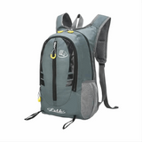 Cinza